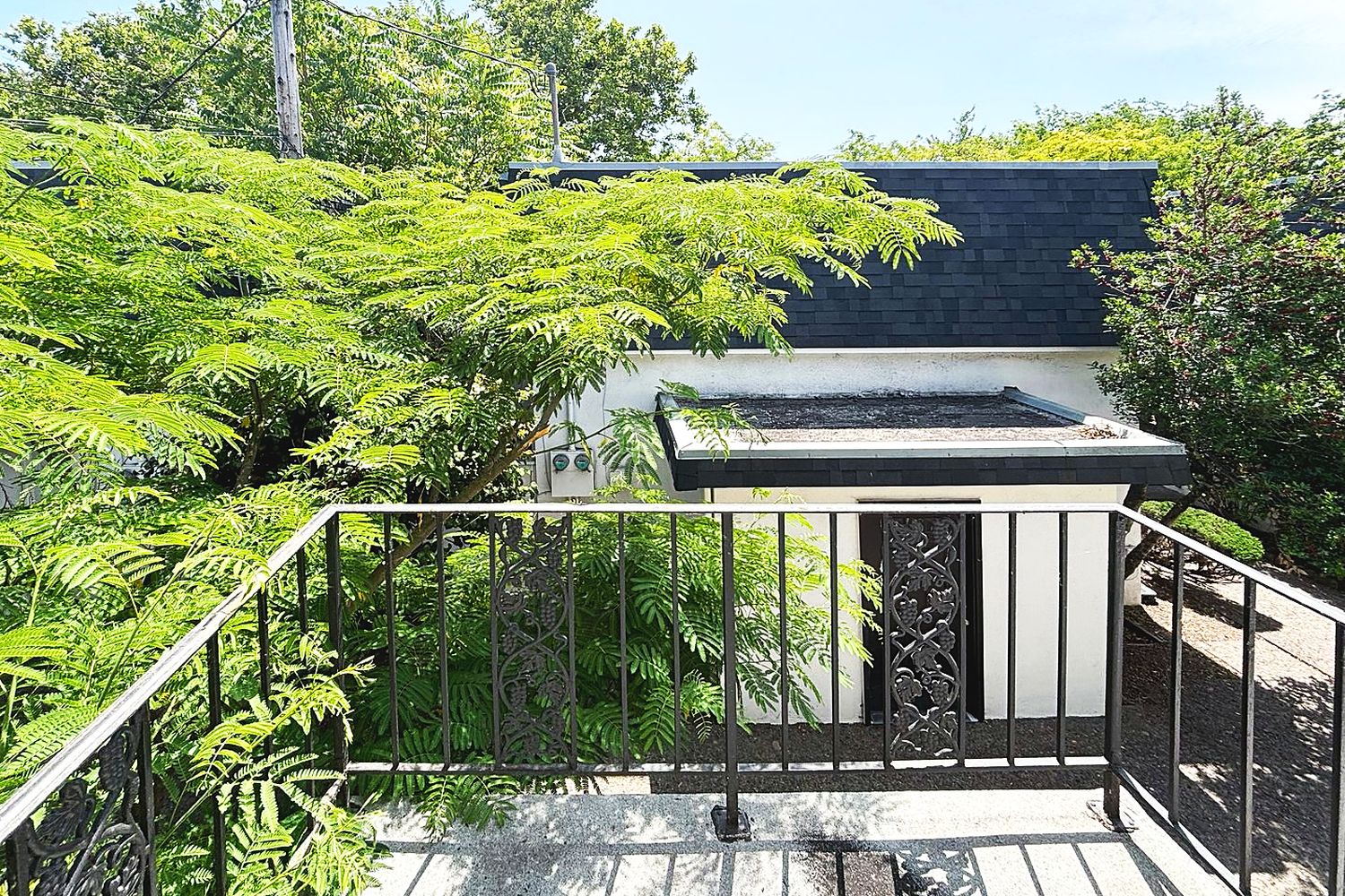 Balcony railing overlooking mature trees